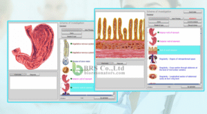 Bioresonans discription